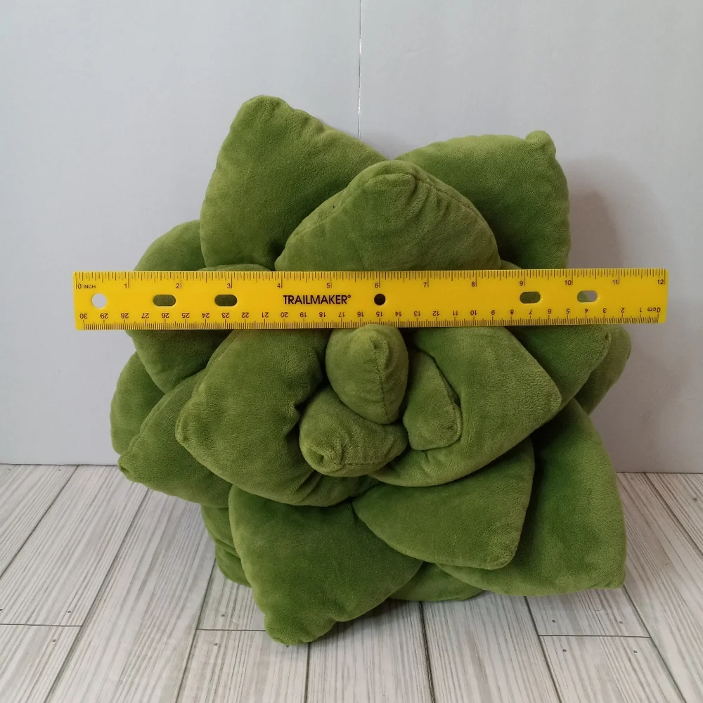 Green Philosophy Succulent Accent Pillow